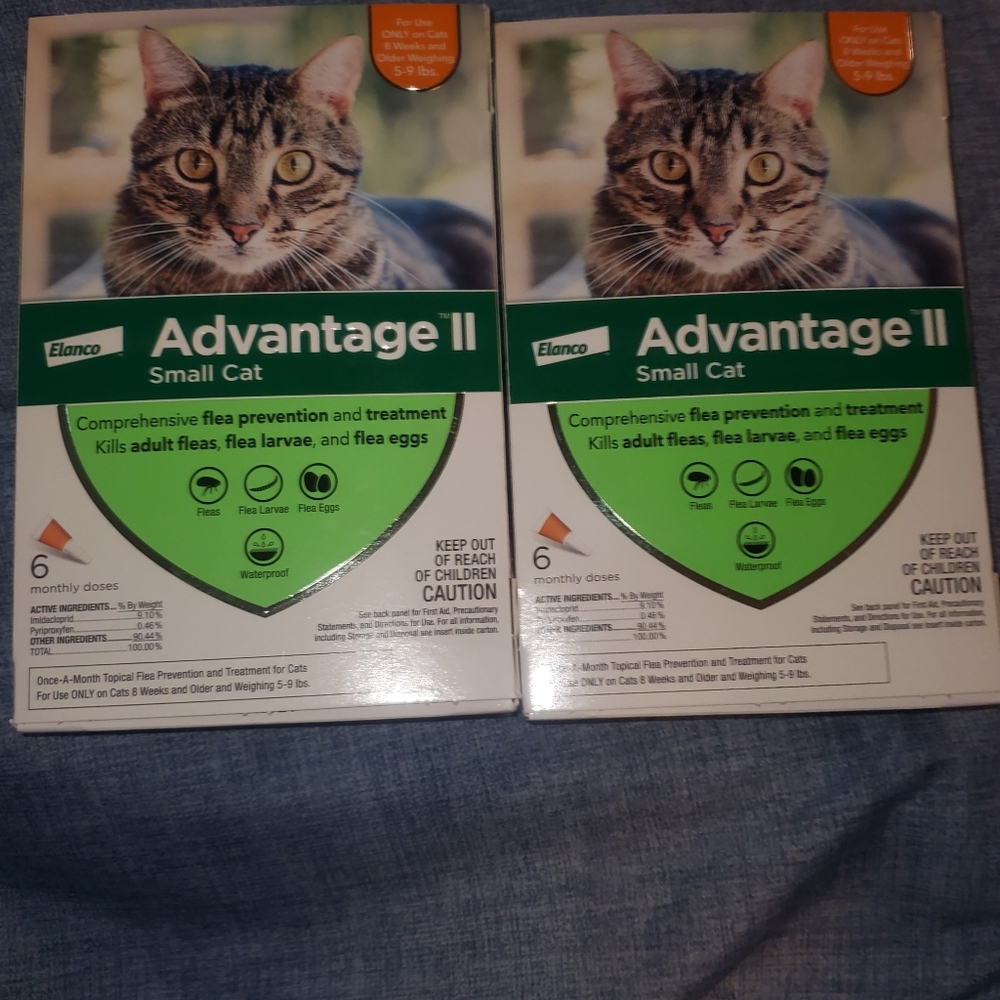 6month small cat Advantage II flea drops